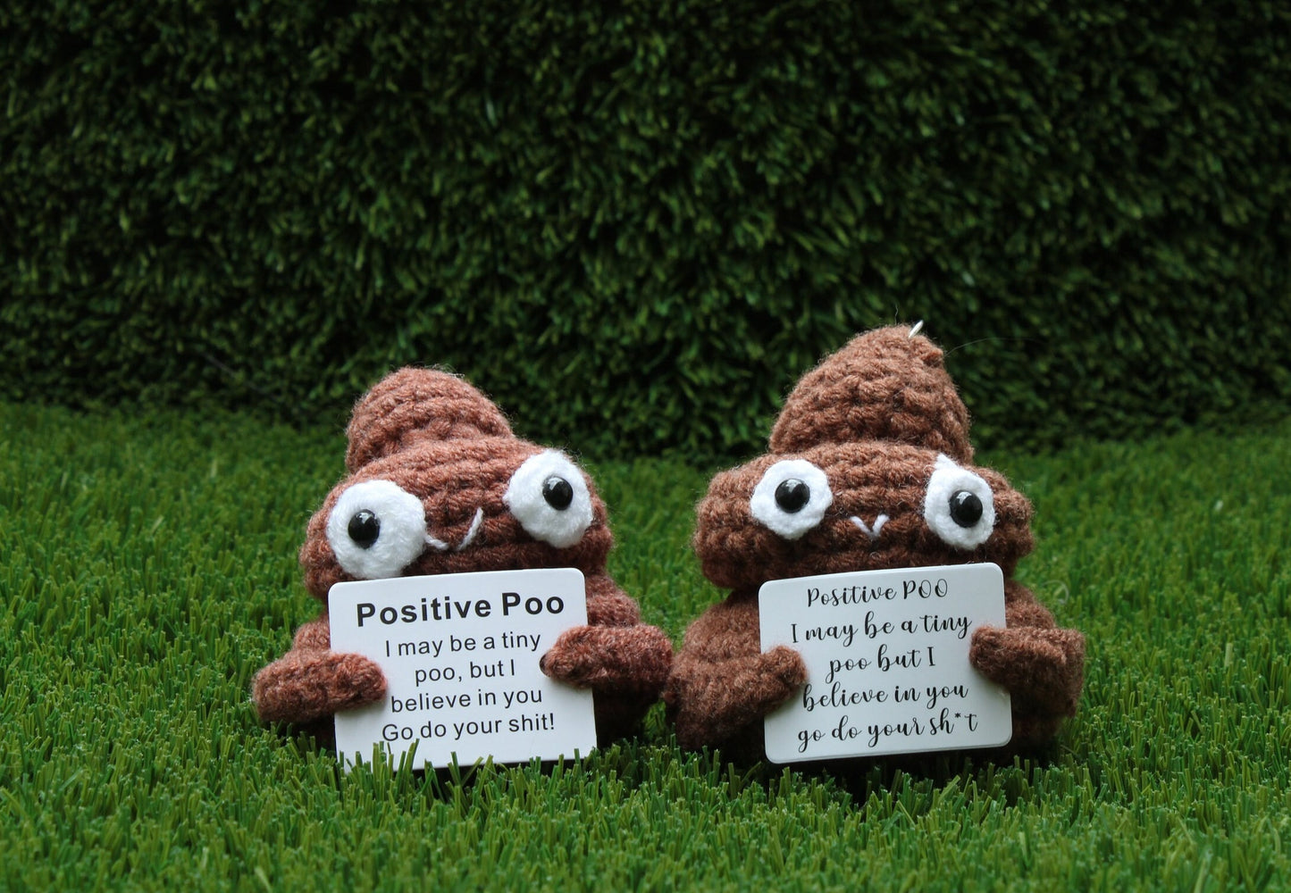 Positive Poo Crochet Toy