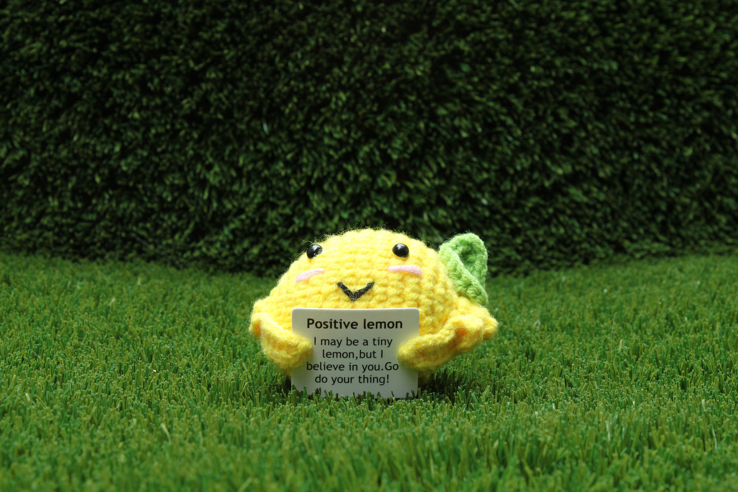 Positive Emotional Support Crochet Toy, Motivational Gift for Friends, Family, Coworker. Cute Funny Gag Gifts. Car Decor Charm