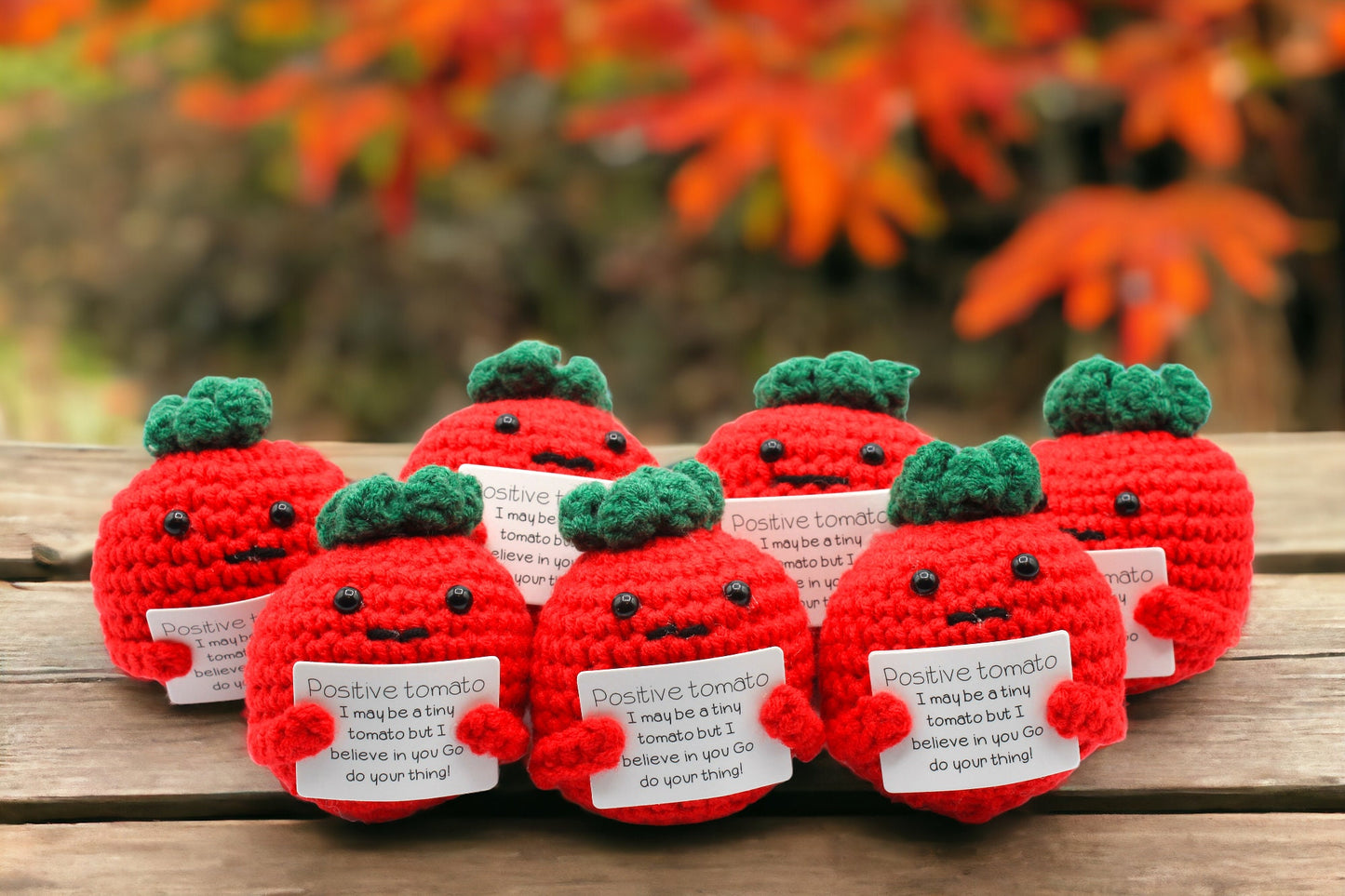 Positive Avocado & Tomato Crochet. Encouraging Supportive Gifts. Valentine's Day Friends Gift. Wool Knitted Toy
